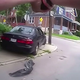 Image for article titled Horrifying Police Body Camera Footage Clearly Shows Current State Of America